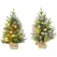 HOMCOM Set of Two 2ft Christmas Trees, with Lights, Berries and Pinecones - 1