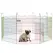 PawHut Pet Playpen Crate, with Eight Panels, Door, for Indoors and Outdoors, 60H x Φ156cm - 1