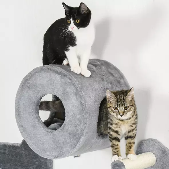 PawHut 4PCs Wall-Mounted Cat Tree, with Steps, Perch, Cat House - Grey - 8