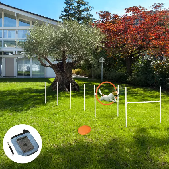 PawHut Dog Agility Training Equipment for Dogs with Carry Bag - Multicoloured - 9