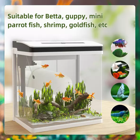 PawHut 28L Glass Aquarium Fish Tank with Filter, LED Lighting, for Betta, Guppy, Mini Parrot Fish, Shrimp, 38 x 26 x 39.5cm - 4