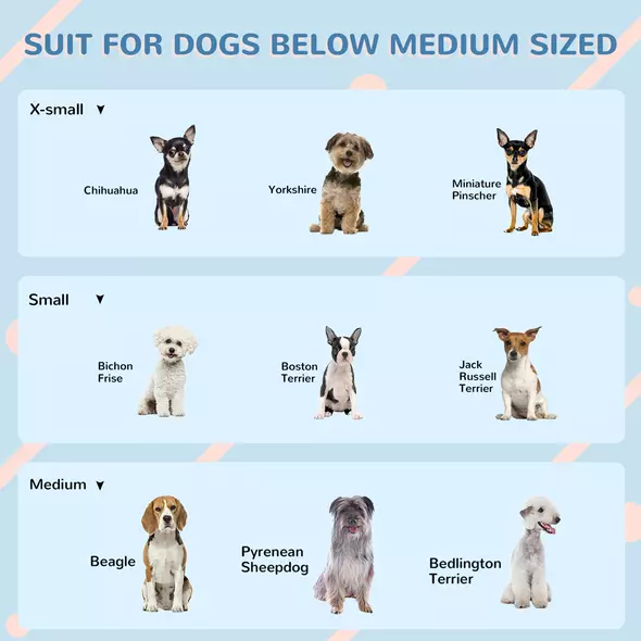 PawHut Plastic Weather-Resistant Dog House, for Indoors and Outdoors, Medium Dogs - White and Blue - 7