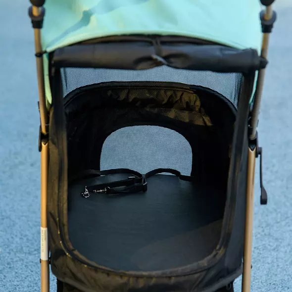 PawHut Pet Stroller for Small and Miniature Dogs, with Rain Cover - Green - 9