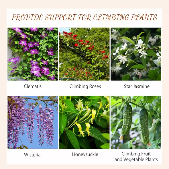 Outsunny Metal Trellis Set of 2, Garden Trellis for Climbing Plants Support Frames, Scrolls Design - 4