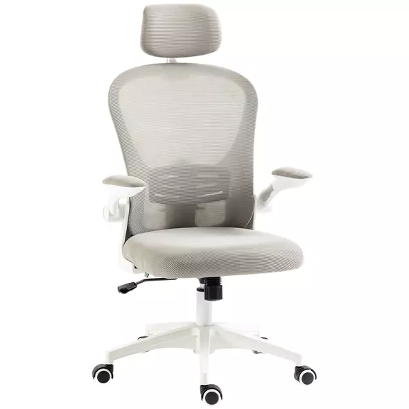 Vinsetto Multi-Adjustable Office Chair, with Lumbar Support, Headrest and Mesh Back - Grey - 1