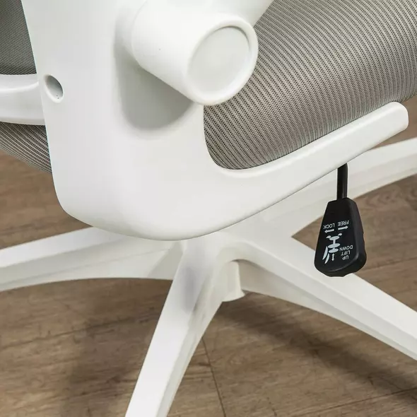 Vinsetto Multi-Adjustable Office Chair, with Lumbar Support, Headrest and Mesh Back - Grey - 8