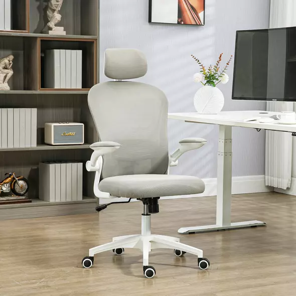Vinsetto Multi-Adjustable Office Chair, with Lumbar Support, Headrest and Mesh Back - Grey - 2
