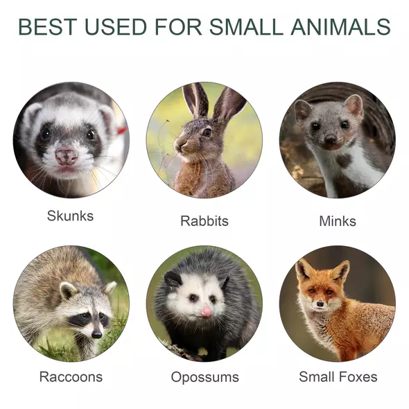 PawHut Two-Door Live Trap for Small Animals, Animal Trap for Rat, Mice - Dark Green - 5