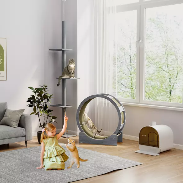 PawHut Cat Wheel with Brake, Scratching Pads - Grey - 9