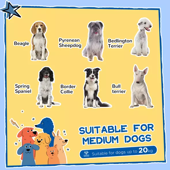 PawHut Wooden Dog Kennel with Removable Floor, Asphalt and Openable Roof, Large Window, for Large Dogs, Yellow - 4