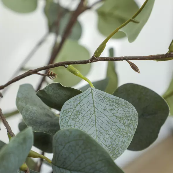 HOMCOM Set of 2 Decorative Artificial Tree, 4ft/ 120cm Silk Eucalyptus Trees with 230 Silver Dollar Leaves in Pot, Fake Plants for Home, Office, Living Room, Indoor Decor - 9