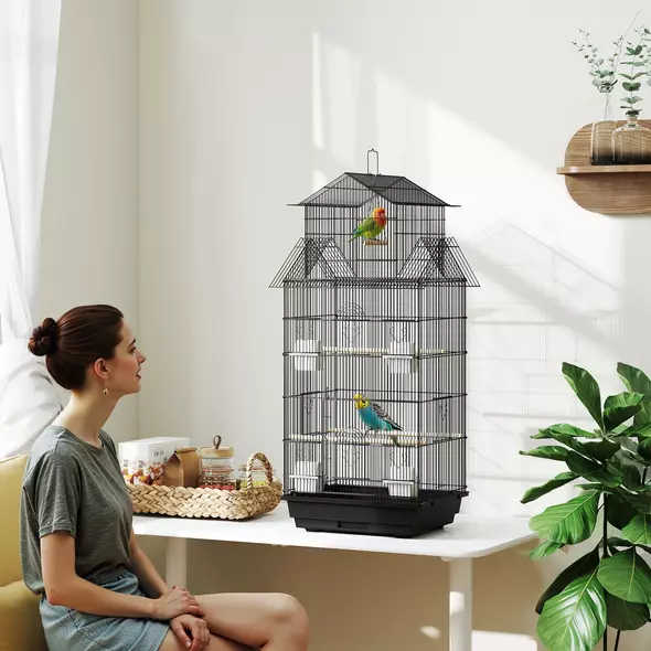 PawHut Metal Bird Cage with Plastic Swing, Perch, Food Container, Tray, Handle, for Finches, Canaries, 43 x 32.5 x 104cm - 2