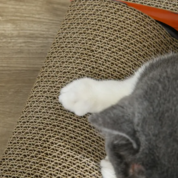 PawHut 2 in 1 Cat Scratching Board with Catnip, Car-shaped - 6