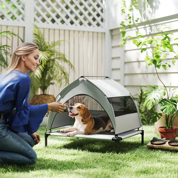 PawHut Portable Elevated Dog Bed with Removable Canopy, Cooling Raised Pet Cot for Small Medium Dogs, 76 x 61 x 60 cm - 1