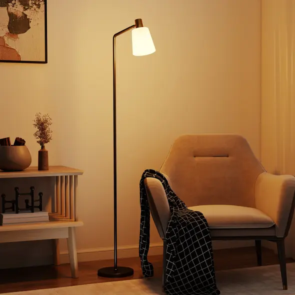 HOMCOM Floor Lamp with 350° Rotatable Head, Modern Standing Lamp with 3000K/4000K/6500K Colour Temperatures for Living Room Bedroom Office, Black - 9