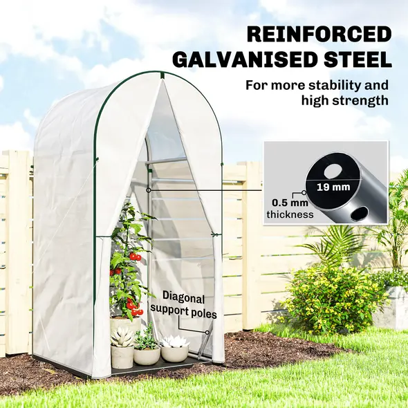 Outsunny Mini Greenhouse, Portable Green House with Roll-Up Door, PE Base, Small Greenhouse, 100 x 100 x 195 cm, White - 4