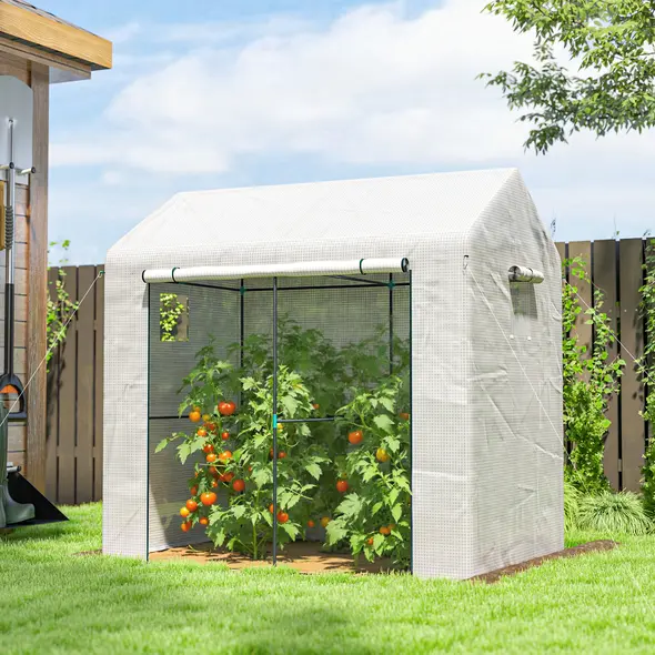 Outsunny Walk-in Greenhouse, Outdoor Tomato Greenhouse with Roll-up Door and Mesh Windows, PE Cover, 200 x 140 x 200cm, White - 2