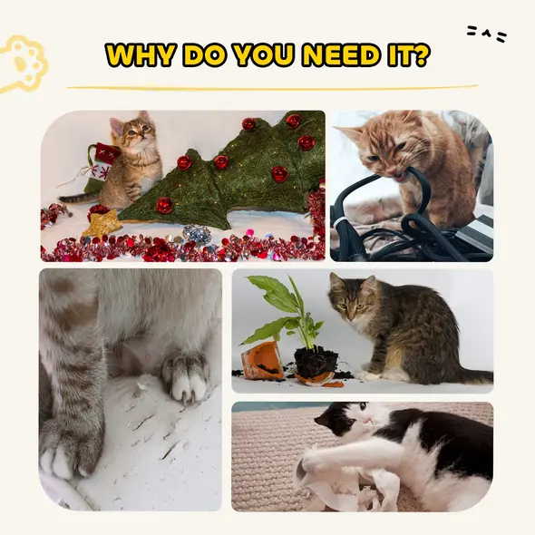 PawHut 63cm Cat Scratching Post, Cat Scratcher with Replaceable Scratching Board, Top Perch, Sisal Scratch Mat, Oak - 7