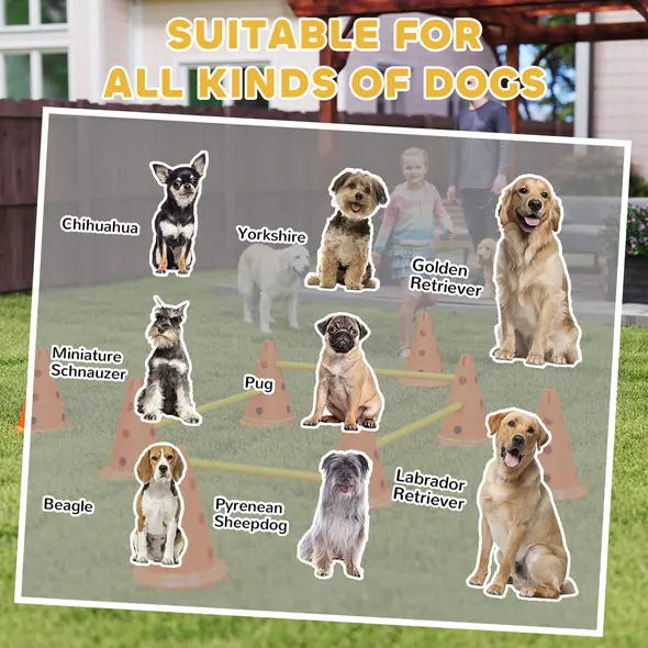 PawHut Dog Agility Equipment Set of Eight Cones, Eight Poles w/ Carry Bag, Four-Piece Adjustable Height Jumping Obstacles - 8