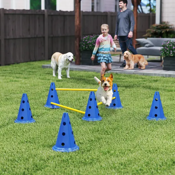 PawHut Dog Agility Equipment Set of Six Cones, Six Poles with Carry Bag, Three-Piece Adjustable Height Jumping Obstacles, Blue - 2