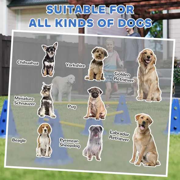 PawHut Dog Agility Equipment Set of Six Cones, Six Poles with Carry Bag, Three-Piece Adjustable Height Jumping Obstacles, Blue - 8