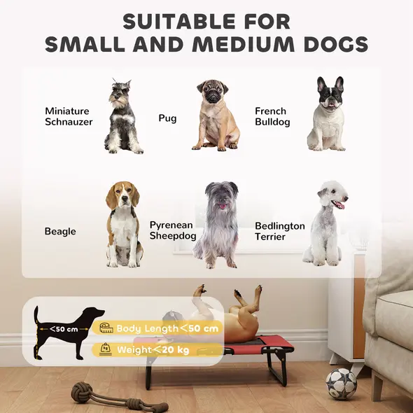 PawHut Portable Raised Dog Bed, Elevated Pet Cot with Breathable Mesh for Indoor Outdoor, for Small Medium Dogs, Red - 8