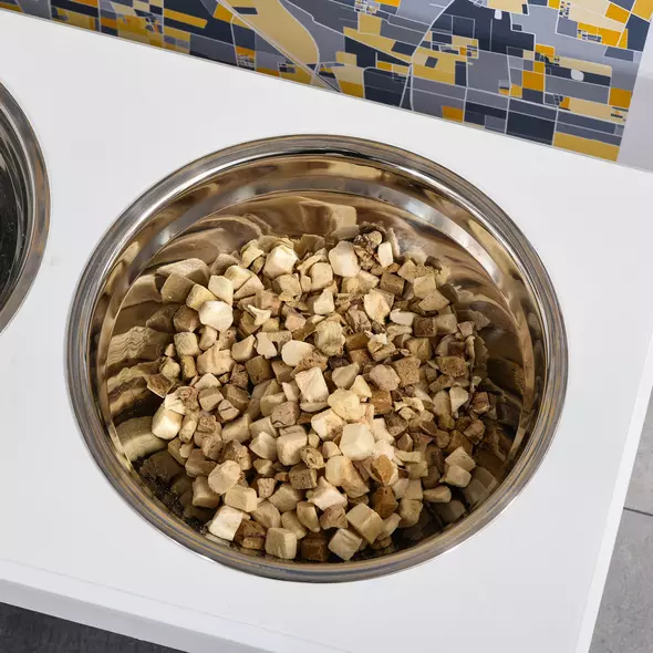 PawHut Raised Dog Feeding Bowls with Stand, Stainless Steel for  Extra Small and Small Dog, 44L x 24W x 15H cm - White - 7