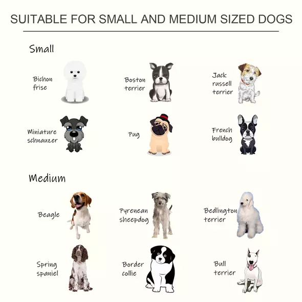 PawHut Raised Dog Feeding Bowls with Stand, Stainless Steel for Medium Dog, 58L x 31W x 25H cm - White - 7