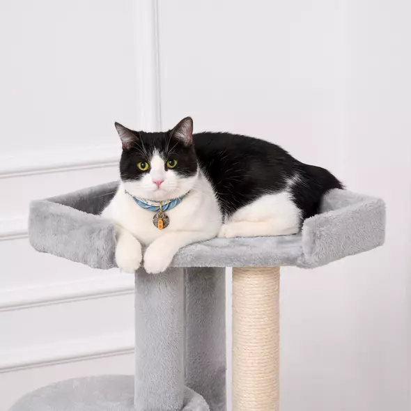 PawHut Cat Tree for Indoor Cats Kitten Tower Multi-level Activity Centre Pet Furniture with Scratching Post Condo Hanging Ropes Plush Perches Grey - 7