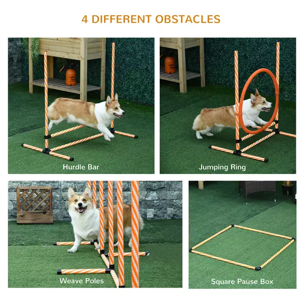 PawHut Dog Agility Equipment Pet Training Set with Adjustable Height Jump Ring Hurdle Whistle Weave Poles Square Pause Box Carry Bag - 4