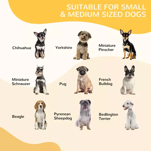 PawHut 8 Panels Heavy Duty Puppy Playpen, for Small and Medium Dogs, Indoor and Outdoor Use - Black - 7