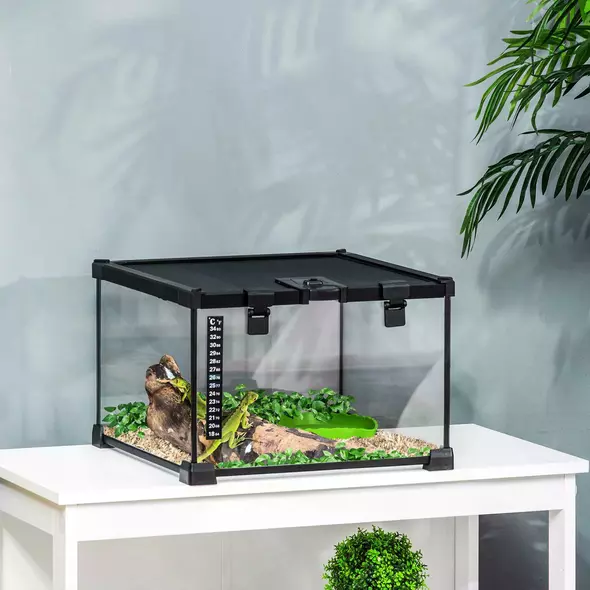PawHut Glass Reptile Terrarium Insect Breeding Tank Vivarium Habitats with Thermometer for Lizards, Horned Frogs, Snakes, Spiders - Small 30 x 30 x 20cm - 2