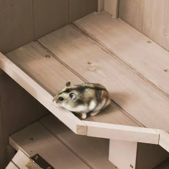 PawHut Wooden Hamster Cage, Mice Rodent Small Animals Kit Hutch, 3 Tiers Exercise Play House, with Wheels, Bottom Tray, 99 x 50 x 69 cm, Natural Wood - 9